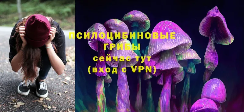 kraken онион  Лобня  Псилоцибиновые грибы Psilocybe 